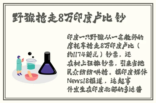 红楼梦淫史